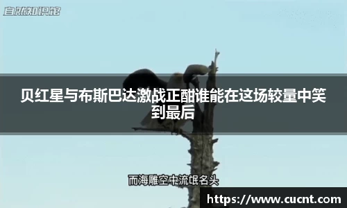 银河集团9873app